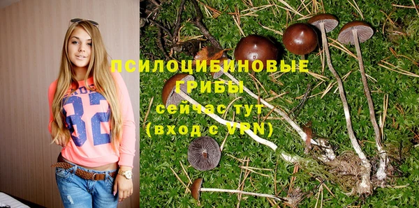 Альфа ПВП Алексеевка