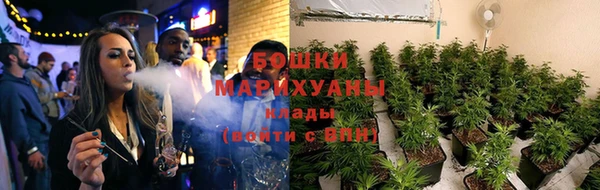 spice Алзамай