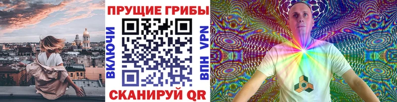 Галлюциногенные грибы Psilocybe Невьянск