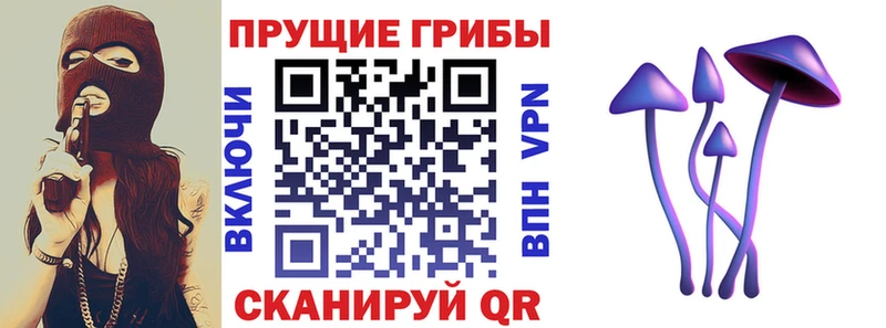 наркошоп  Невьянск  Псилоцибиновые грибы Cubensis 